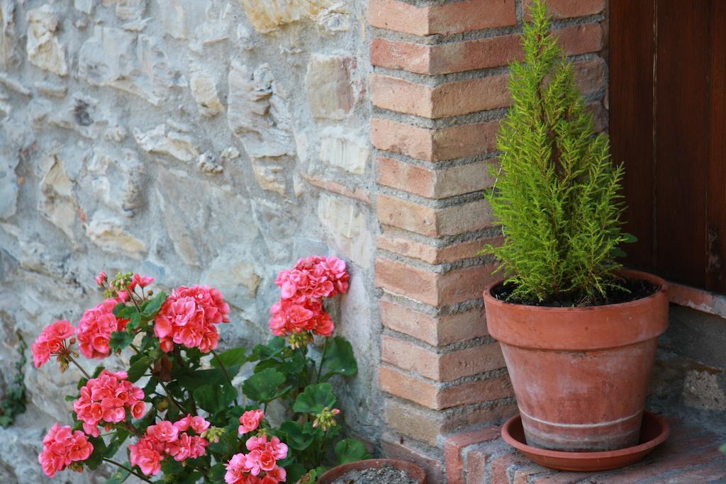Borgo Fango Apartamento Montieri Exterior foto